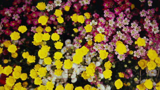 1461882 (a): :1920x1080